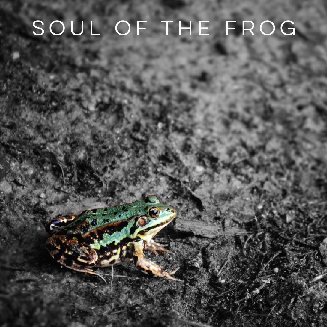 Album cover for Accessible Frog's new album, Soul of the Frog