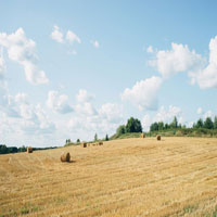 I love hay bales. Took this snap on a drive through the countryside past some straw fields.

