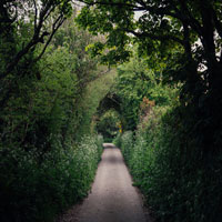 Countryside Lane
We enjoyed a quiet stroll down this countryside lane.