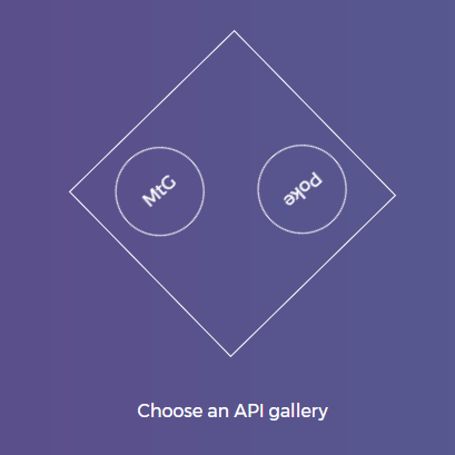 public api gallery